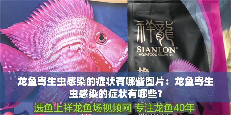 龍魚寄生蟲感染的癥狀有哪些圖片：龍魚寄生蟲感染的癥狀有哪些？
