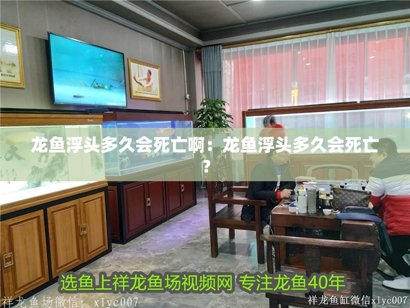 龍魚浮頭多久會死亡啊：龍魚浮頭多久會死亡？