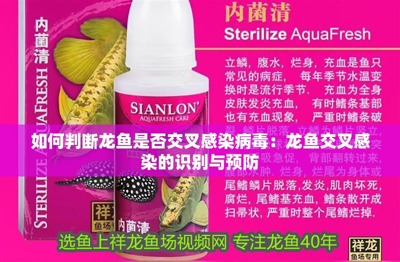 如何判斷龍魚是否交叉感染病毒：龍魚交叉感染的識別與預防