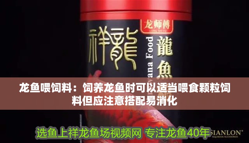 龍魚喂飼料：飼養(yǎng)龍魚時可以適當喂食顆粒飼料但應注意搭配易消化