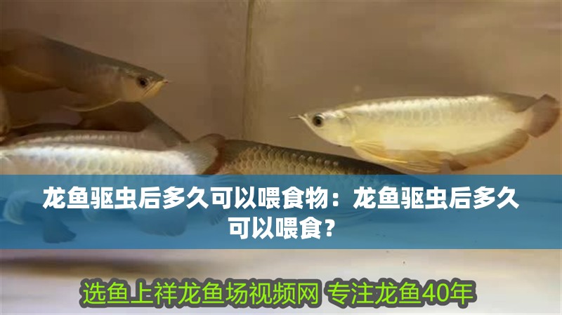 龍魚驅蟲后多久可以喂食物：龍魚驅蟲后多久可以喂食？