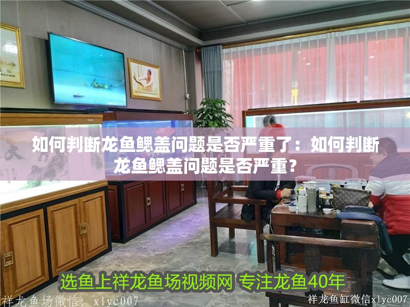 如何判斷龍魚鰓蓋問題是否嚴(yán)重了：如何判斷龍魚鰓蓋問題是否嚴(yán)重？