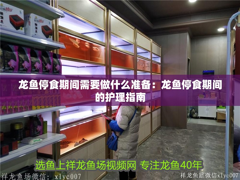 龍魚停食期間需要做什么準(zhǔn)備：龍魚停食期間的護(hù)理指南