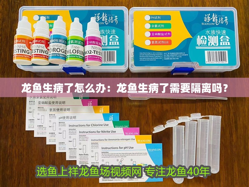 龍魚生病了怎么辦：龍魚生病了需要隔離嗎？
