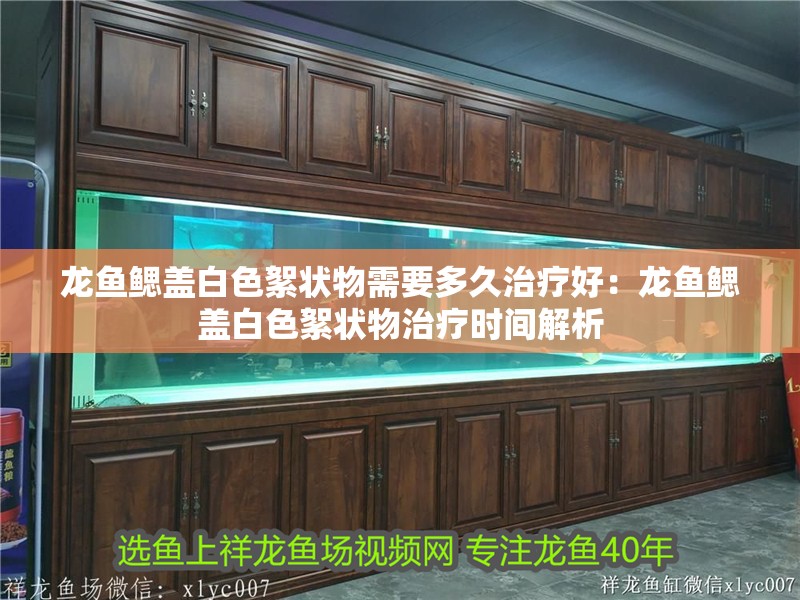 龍魚鰓蓋白色絮狀物需要多久治療好：龍魚鰓蓋白色絮狀物治療時間解析