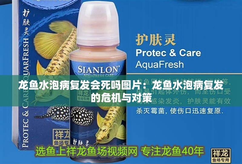 龍魚水泡病復發會死嗎圖片：龍魚水泡病復發的危機與對策