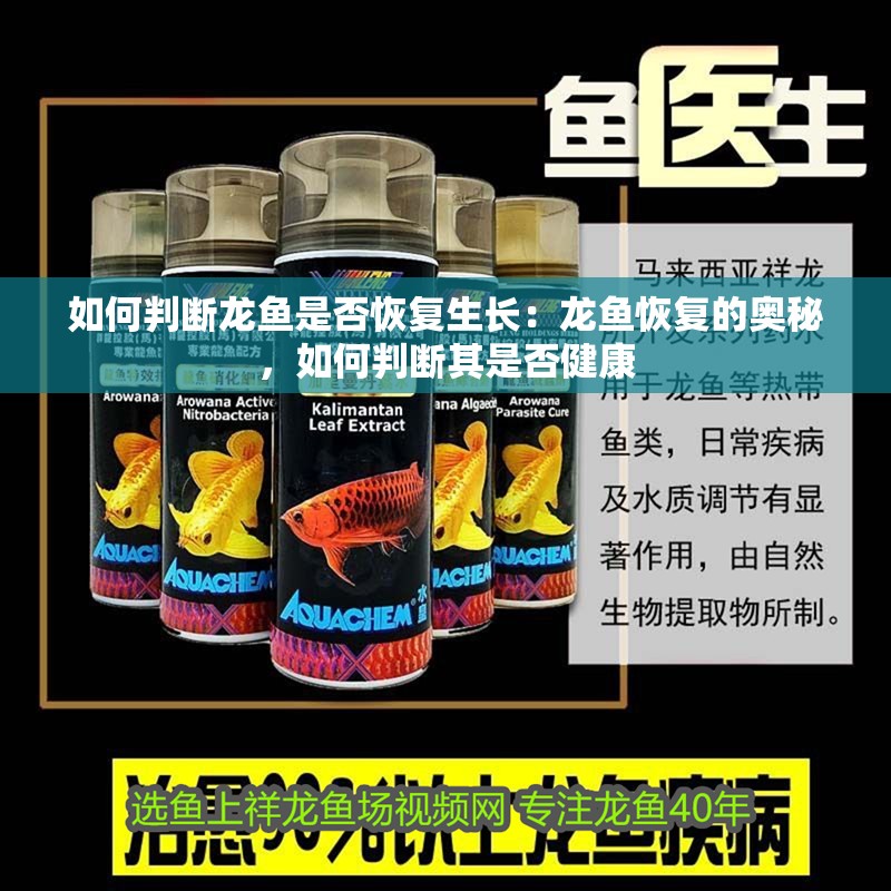 如何判斷龍魚是否恢復(fù)生長(zhǎng)：龍魚恢復(fù)的奧秘，如何判斷其是否健康