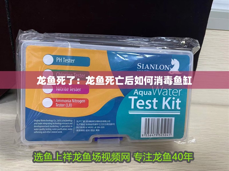 龍魚死了：龍魚死亡后如何消毒魚缸 龍魚死了：龍魚死亡后如何消毒魚缸 水族問答