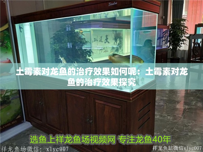 土霉素對龍魚的治療效果如何呢：土霉素對龍魚的治療效果探究 土霉素對龍魚的治療效果如何呢：土霉素對龍魚的治療效果探究 水族問答