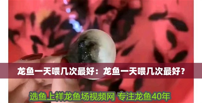 龍魚一天喂幾次最好：龍魚一天喂幾次最好？
