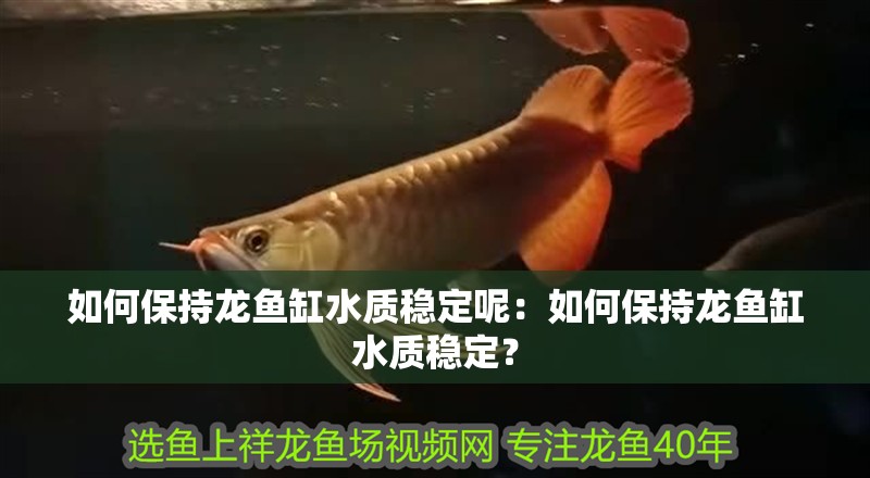 如何保持龍魚(yú)缸水質(zhì)穩(wěn)定呢：如何保持龍魚(yú)缸水質(zhì)穩(wěn)定？