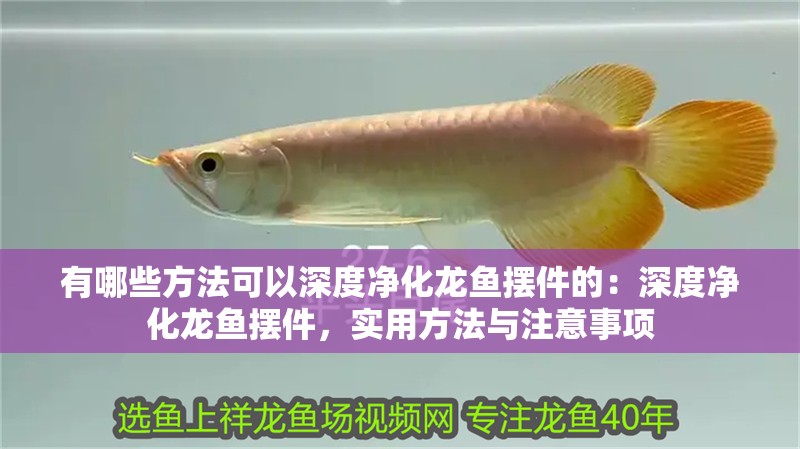 有哪些方法可以深度凈化龍魚擺件的：深度凈化龍魚擺件，實用方法與注意事項