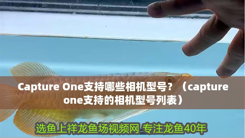 Capture One支持哪些相機型號？（captureone支持的相機型號列表） Capture One支持哪些相機型號？（captureone支持的相機型號列表） 龍魚百科