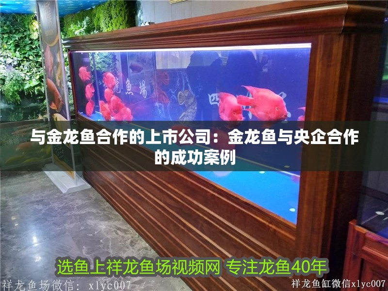 與金龍魚合作的上市公司：金龍魚與央企合作的成功案例