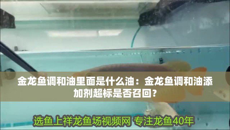 金龍魚調和油里面是什么油：金龍魚調和油添加劑超標是否召回？ 金龍魚調和油里面是什么油：金龍魚調和油添加劑超標是否召回？ 水族問答