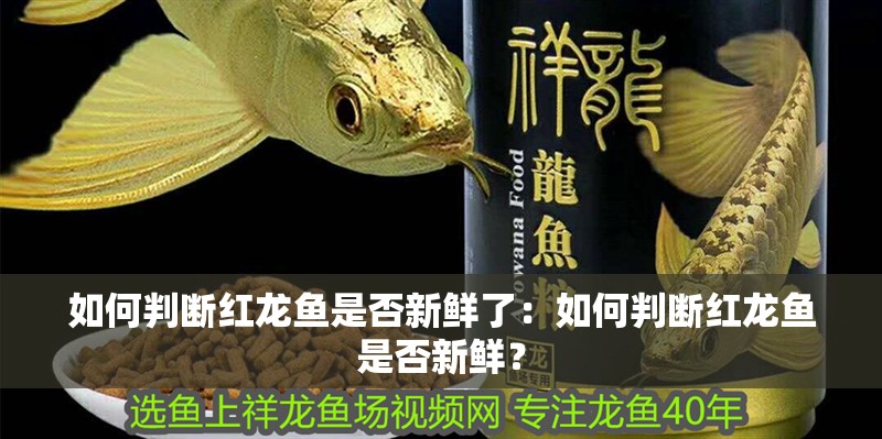 如何判斷紅龍魚是否新鮮了：如何判斷紅龍魚是否新鮮？