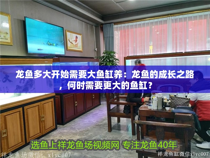龍魚多大開始需要大魚缸養(yǎng)：龍魚的成長之路，何時需要更大的魚缸？