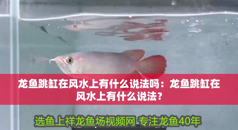 龍魚跳缸在風水上有什么說法嗎：龍魚跳缸在風水上有什么說法？