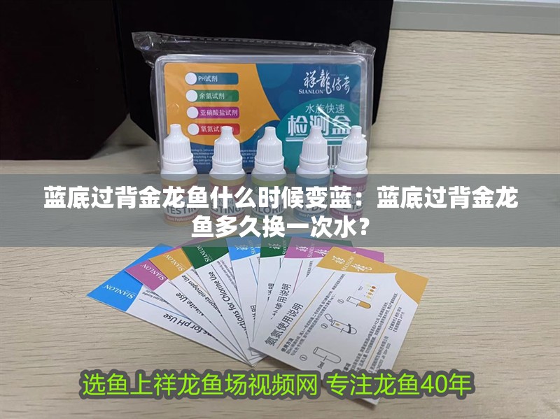 藍(lán)底過(guò)背金龍魚(yú)什么時(shí)候變藍(lán)：藍(lán)底過(guò)背金龍魚(yú)多久換一次水？