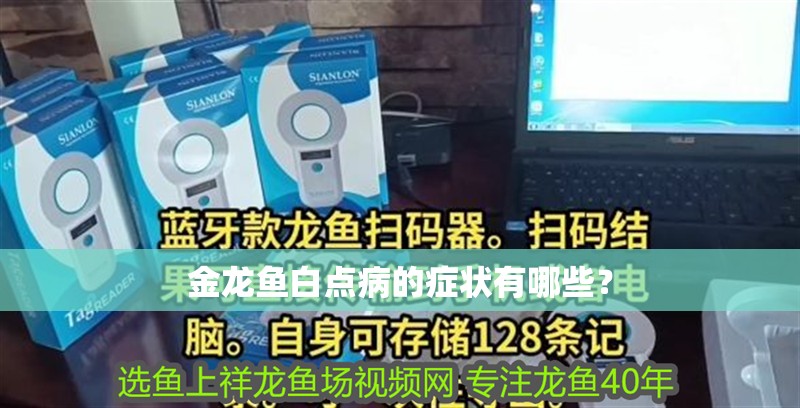 金龍魚白點病的癥狀有哪些？