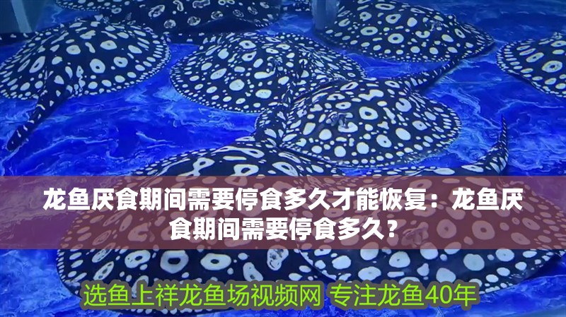 龍魚厭食期間需要停食多久才能恢復：龍魚厭食期間需要停食多久？