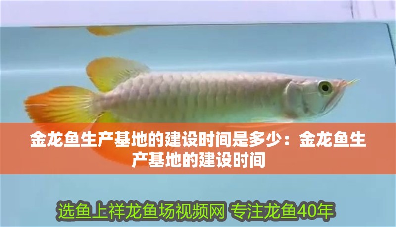 金龍魚生產基地的建設時間是多少：金龍魚生產基地的建設時間