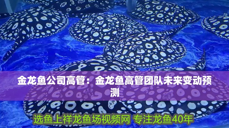金龍魚公司高管：金龍魚高管團隊未來變動預測