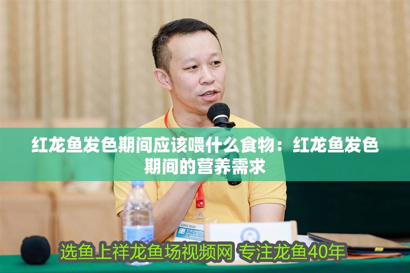紅龍魚發色期間應該喂什么食物：紅龍魚發色期間的營養需求