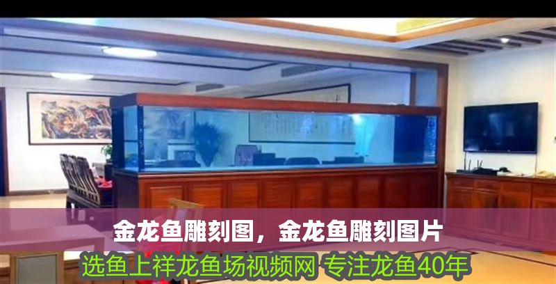 金龍魚雕刻圖，金龍魚雕刻圖片 金龍魚雕刻圖，金龍魚雕刻圖片 龍魚百科 第1張