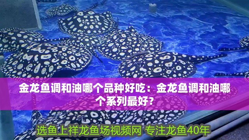 金龍魚調和油哪個品種好吃：金龍魚調和油哪個系列最好？ 金龍魚調和油哪個品種好吃：金龍魚調和油哪個系列最好？ 水族問答