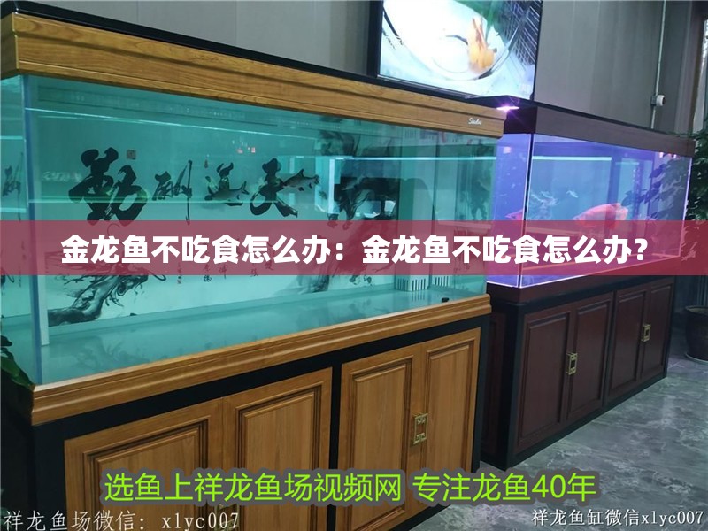 金龍魚不吃食怎么辦：金龍魚不吃食怎么辦？