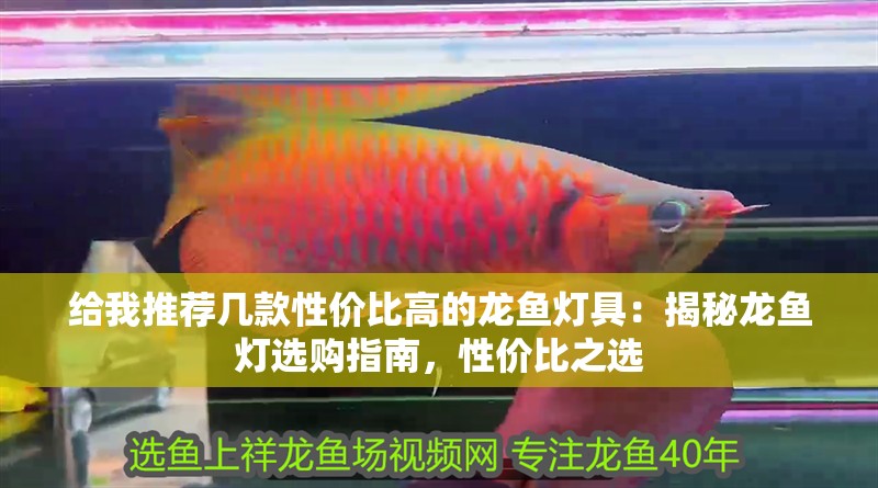 給我推薦幾款性價比高的龍魚燈具：揭秘龍魚燈選購指南，性價比之選