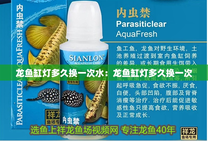 龍魚缸燈多久換一次水：龍魚缸燈多久換一次