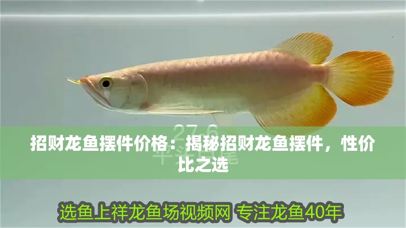 招財龍魚擺件價格：揭秘招財龍魚擺件，性價比之選