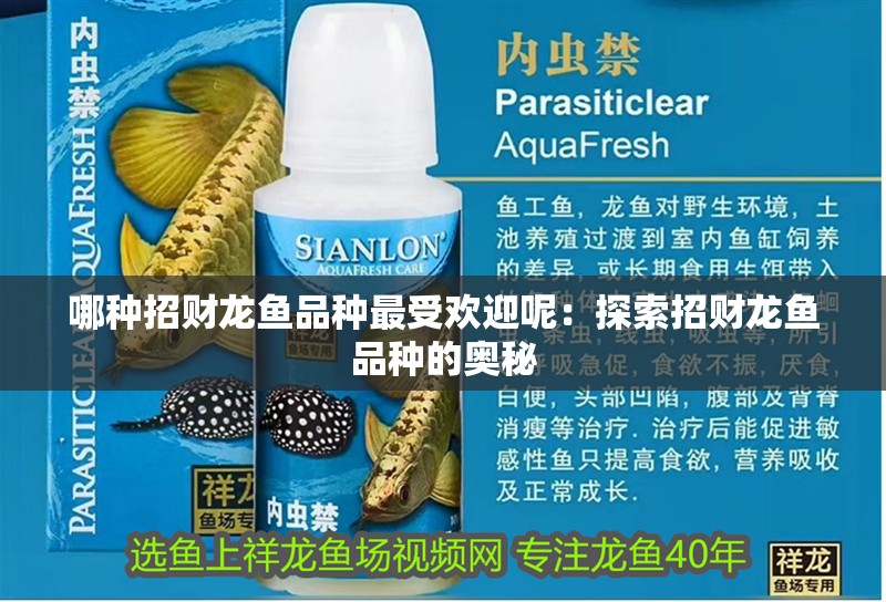 魚缸用增氧泵價格是多少:魚缸增氧機-xtrac增氧機-xtrac增氧機 哪種招財龍魚品種最受歡迎呢:探索招財龍魚品種的奧秘 水族問答 哪種招財龍魚品種最受歡迎呢:探索招財龍魚品種的奧秘 哪種招財龍魚品種最受歡迎呢:探索招財龍魚品種的奧秘 水族問答