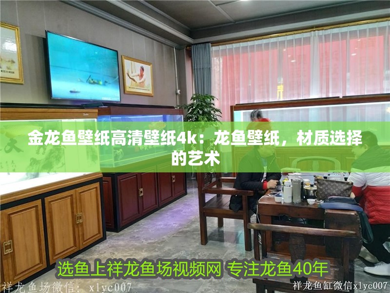 金龍魚壁紙高清壁紙4k：龍魚壁紙，材質選擇的藝術