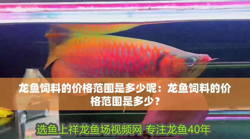 龍魚飼料的價格范圍是多少呢：龍魚飼料的價格范圍是多少？