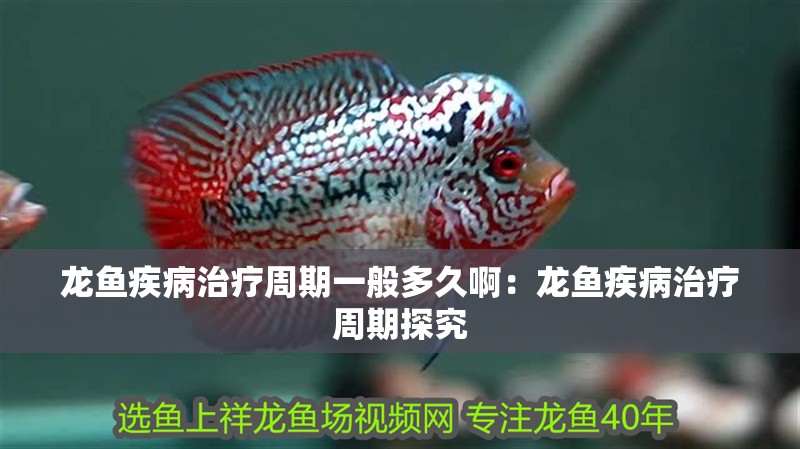 龍魚疾病治療周期一般多久啊：龍魚疾病治療周期探究