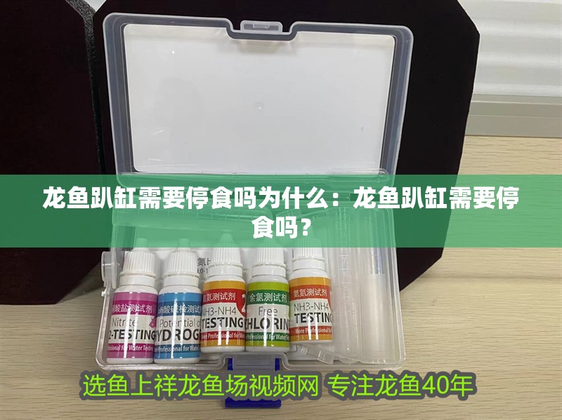 龍魚趴缸需要停食嗎為什么：龍魚趴缸需要停食嗎？