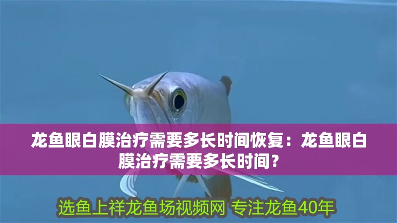 龍魚眼白膜治療需要多長時間恢復：龍魚眼白膜治療需要多長時間？