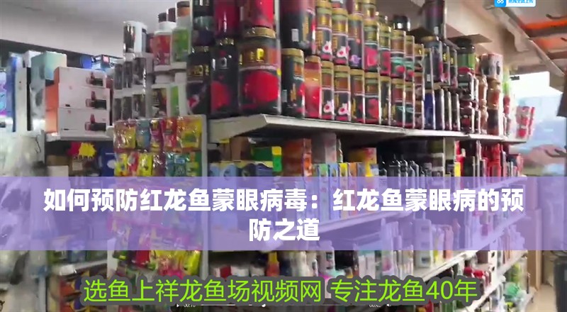 如何預(yù)防紅龍魚蒙眼病毒：紅龍魚蒙眼病的預(yù)防之道