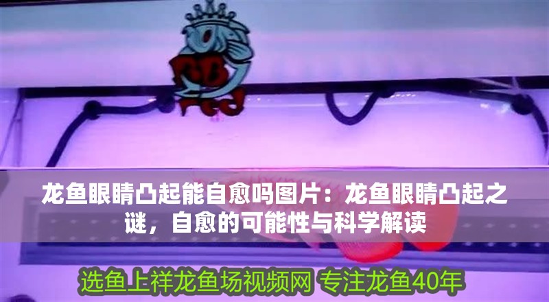 龍魚眼睛凸起能自愈嗎圖片：龍魚眼睛凸起之謎，自愈的可能性與科學解讀