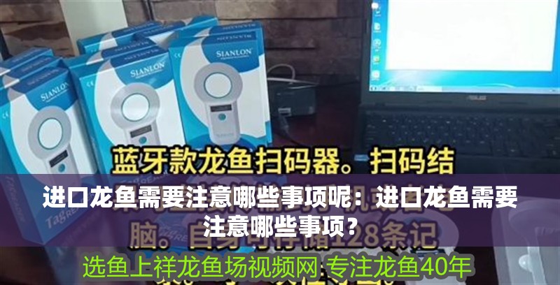 進口龍魚需要注意哪些事項呢：進口龍魚需要注意哪些事項？