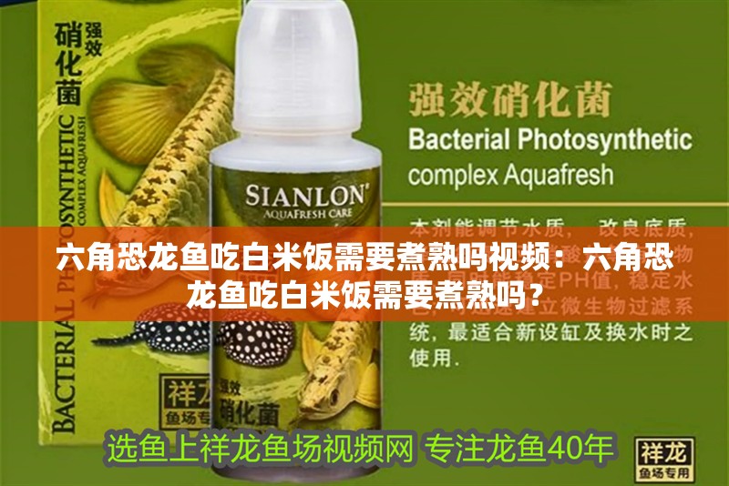 六角恐龍魚吃白米飯需要煮熟嗎視頻：六角恐龍魚吃白米飯需要煮熟嗎？
