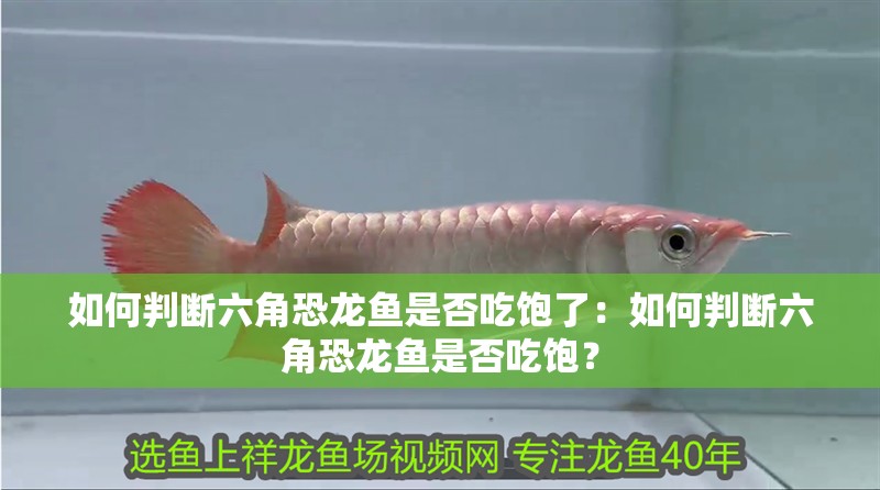 如何判斷六角恐龍魚(yú)是否吃飽了：如何判斷六角恐龍魚(yú)是否吃飽？