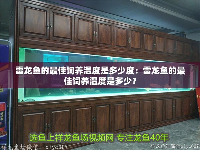 雷龍魚(yú)的最佳飼養(yǎng)溫度是多少度：雷龍魚(yú)的最佳飼養(yǎng)溫度是多少？