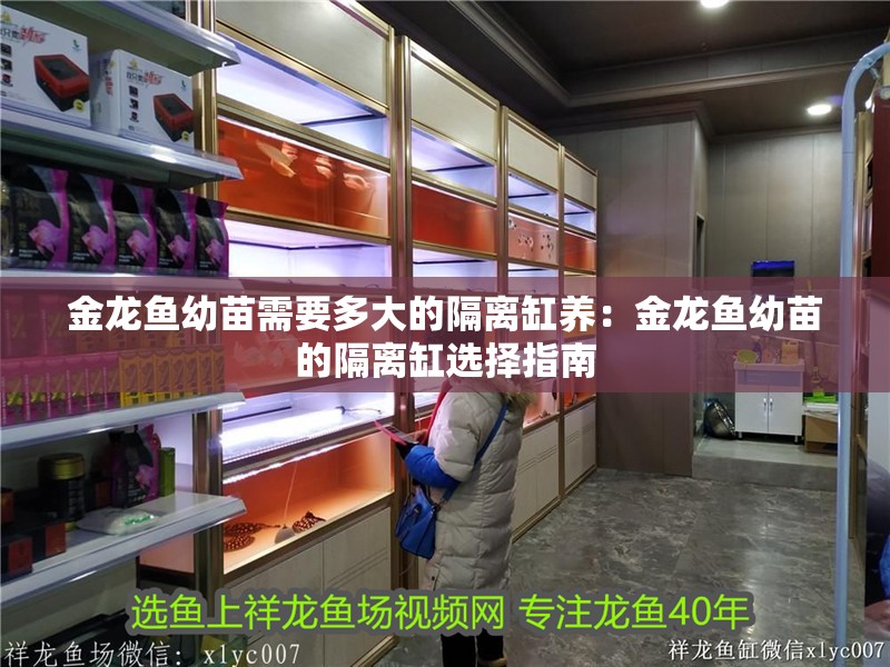 金龍魚幼苗需要多大的隔離缸養(yǎng)：金龍魚幼苗的隔離缸選擇指南
