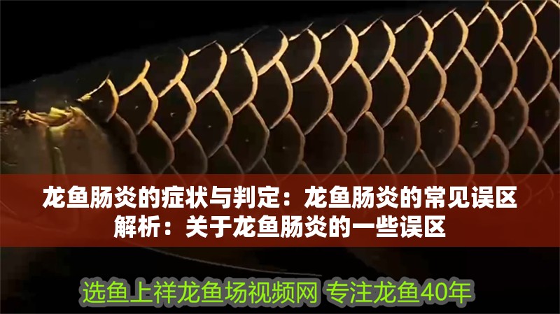 龍魚腸炎的癥狀與判定：龍魚腸炎的常見誤區解析：關于龍魚腸炎的一些誤區