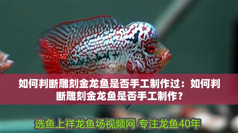 如何判斷雕刻金龍魚是否手工制作過：如何判斷雕刻金龍魚是否手工制作？