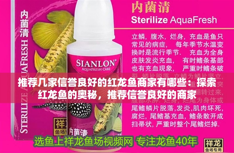 推薦幾家信譽(yù)良好的紅龍魚商家有哪些：探索紅龍魚的奧秘，推薦信譽(yù)良好的商家